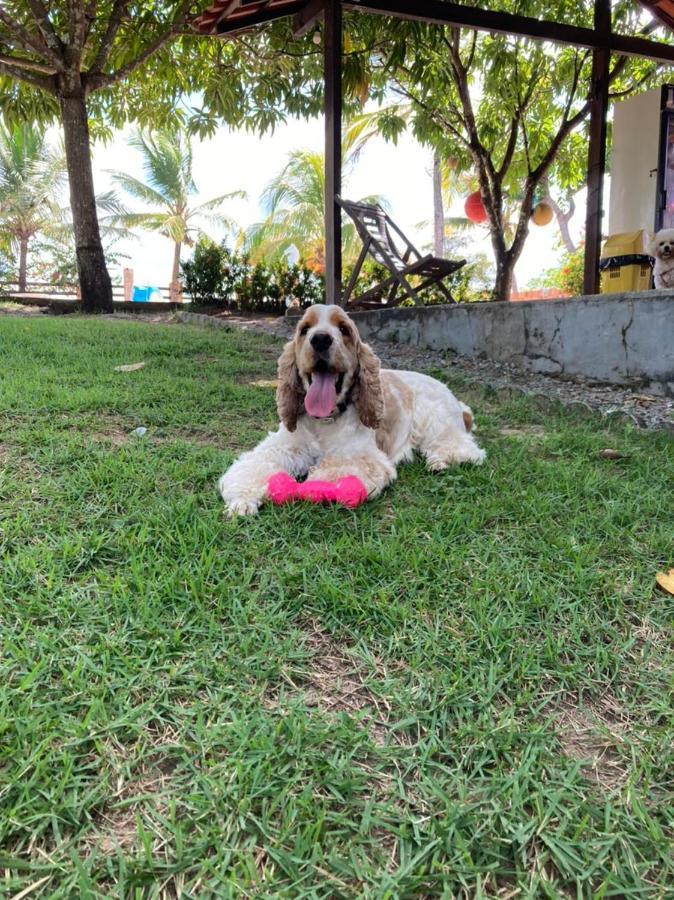 Pousada Do Rancho Barreirinhas Zewnętrze zdjęcie